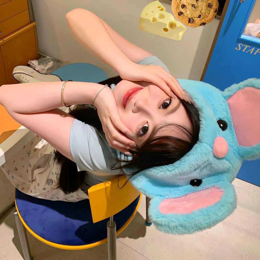 雾水总统